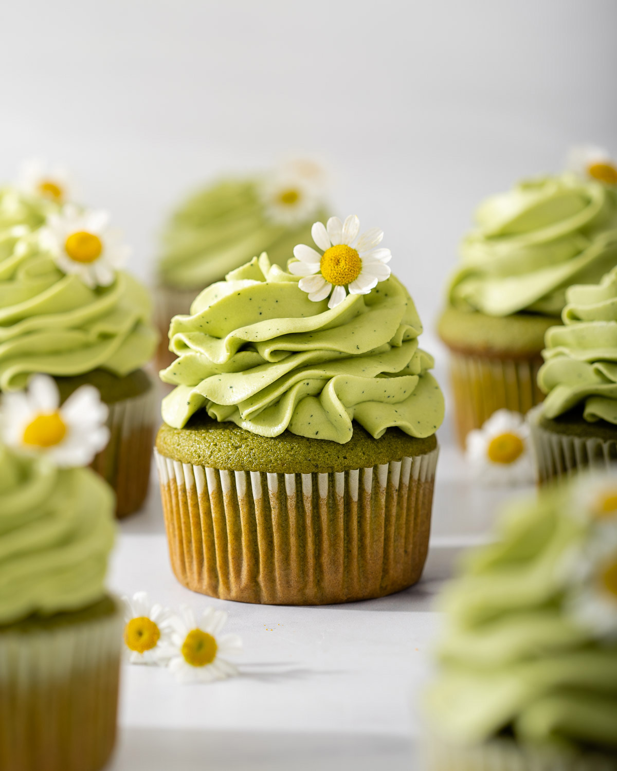 A close up of a matcha cupcake topped with matcha frosting and a chamomile flower.