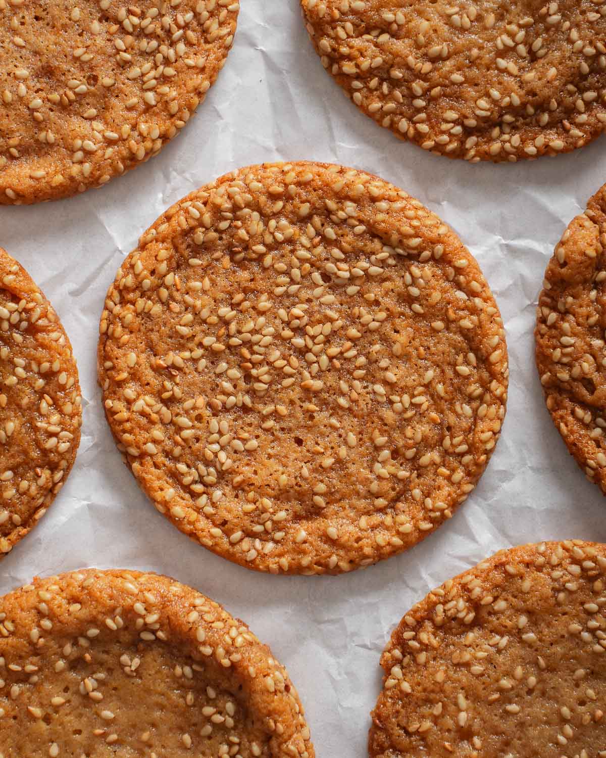 A grid of sesame cookies sitting on parchment paper.
