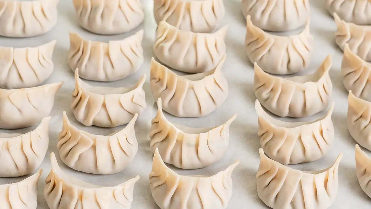 A grid of folded dumplings ready to be cooked.