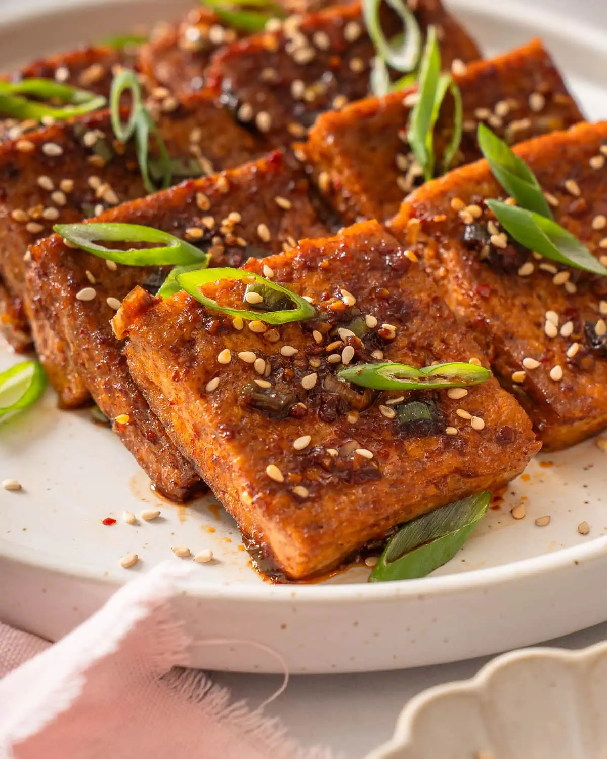 A detail shot of Korean dubu jorim.